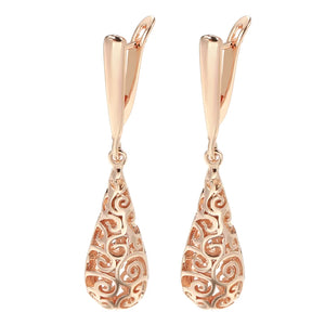 Shiny and Special Original Women Earrings 025