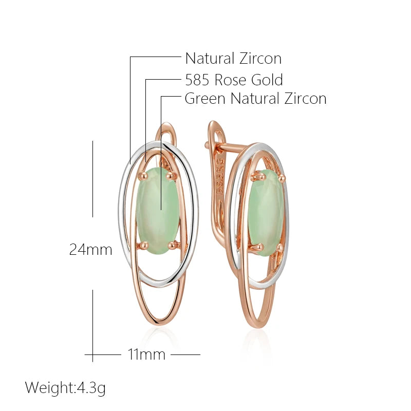 Shiny and Special Original Women Earrings 054