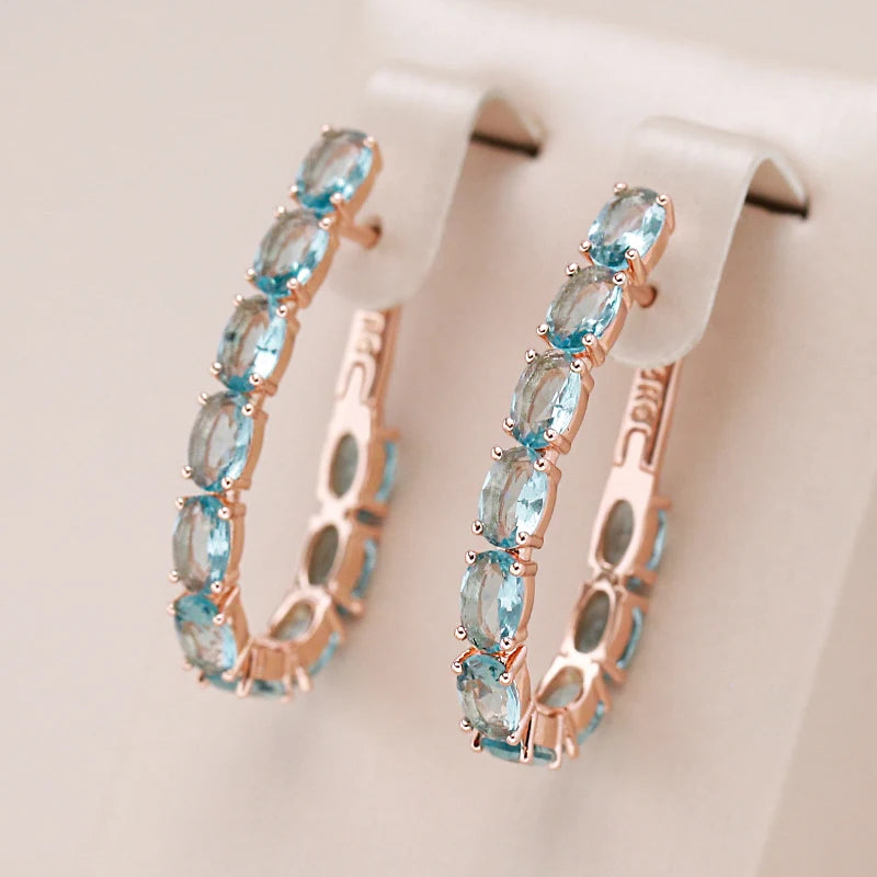 Shiny and Special Original Women Earrings 062