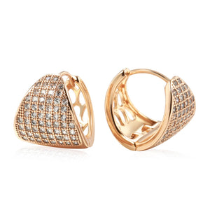 Shiny and Special Original Women Earrings 004