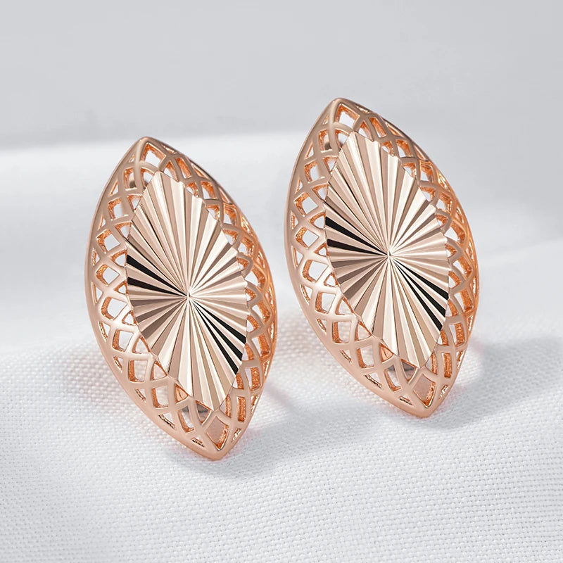 Shiny and Special Original Women Earrings 045