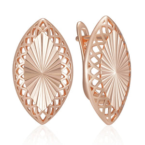 Shiny and Special Original Women Earrings 045
