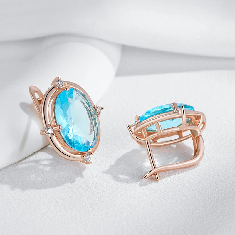 Shiny and Special Original Women Earrings 031