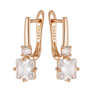 Shiny and Special Original Women Earrings 052