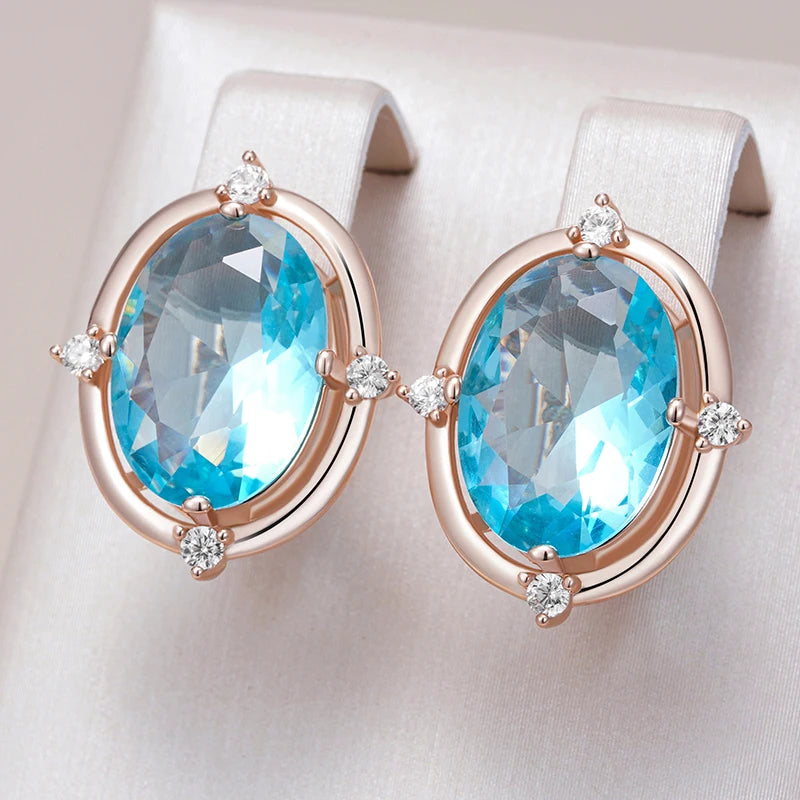 Shiny and Special Original Women Earrings 031