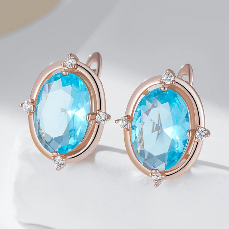 Shiny and Special Original Women Earrings 031