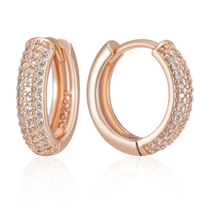 Shiny and Special Original Women Earrings 058