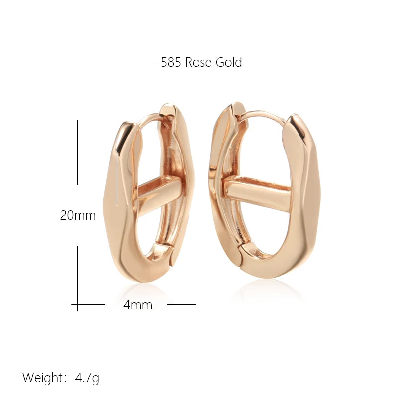 Shiny and Special Original Women Earrings 067