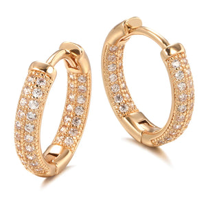 Shiny and Special Original Women Earrings  066