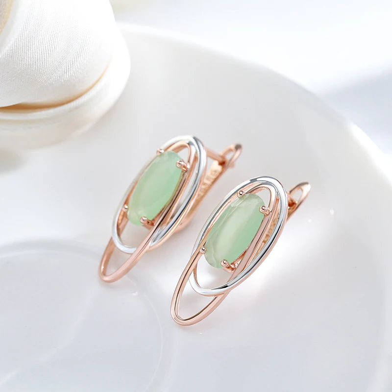 Shiny and Special Original Women Earrings  054