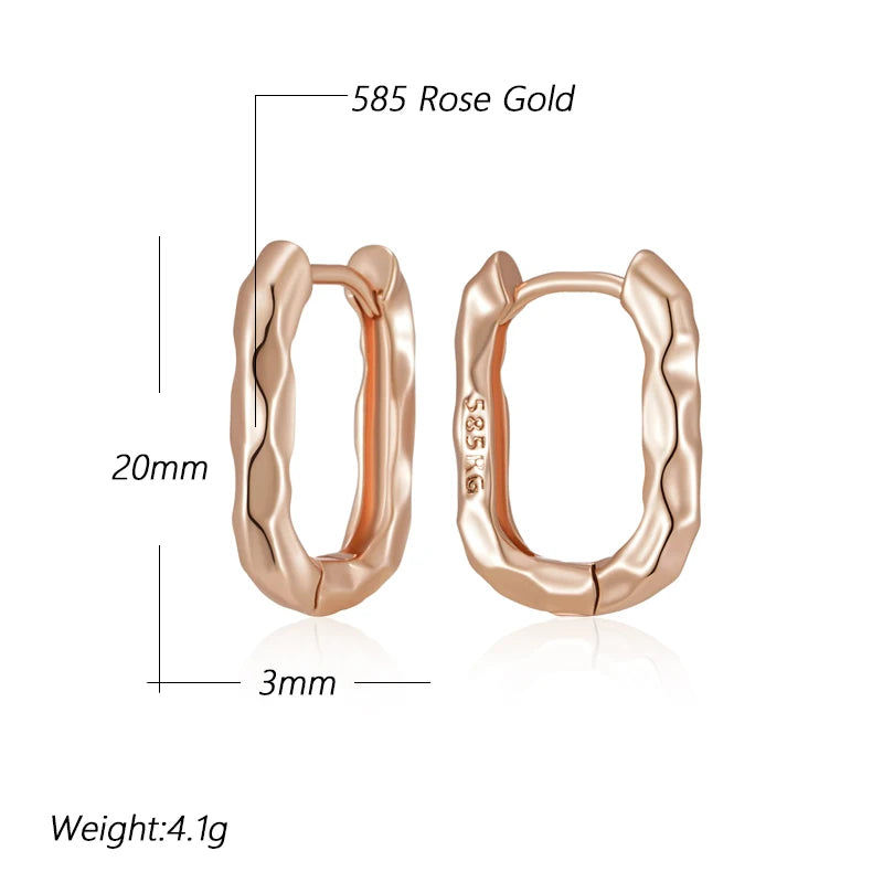 Shiny and Special Original Women Earrings  068