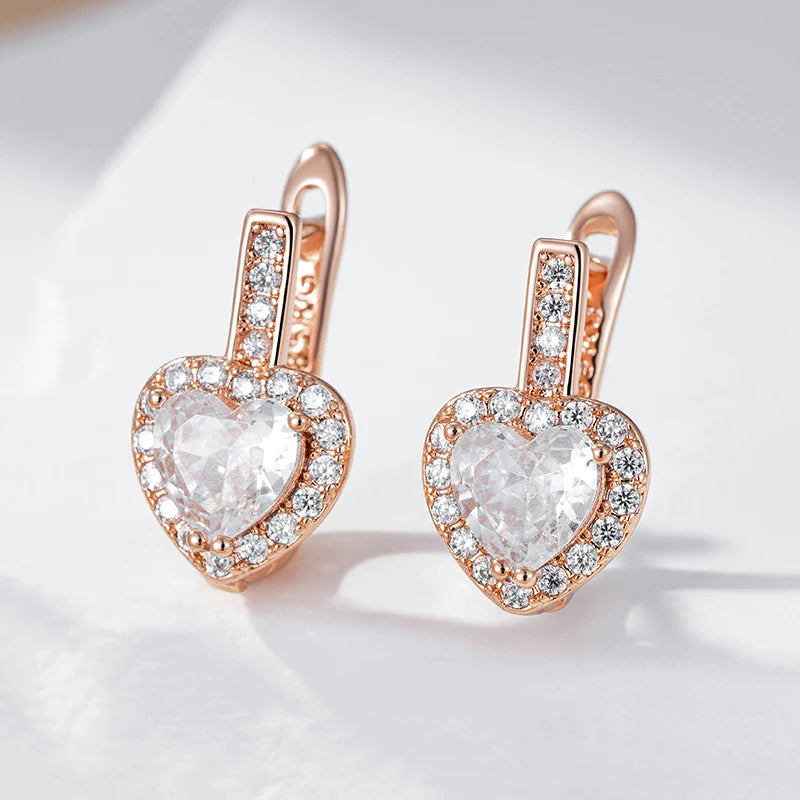 Shiny and Special Original Women Earrings  061