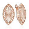Shiny and Special Original Women Earrings  045