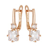 Shiny and Special Original Women Earrings  052