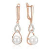 Shiny and Special Original Women Earrings  055