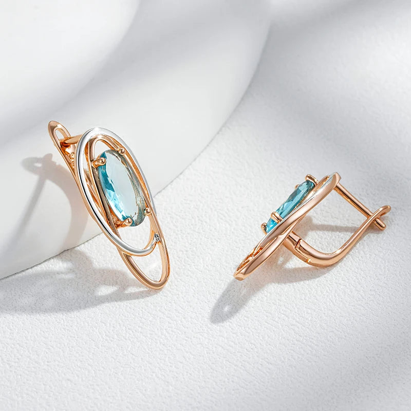 Shiny and Special Original Women Earrings  054