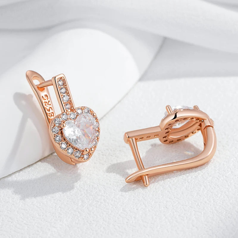 Shiny and Special Original Women Earrings  061