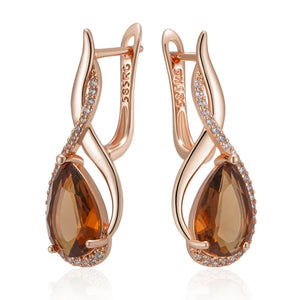 Shiny and Special Original Women Earrings  051