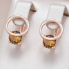 Shiny Brown Natural Zircon English Earrings