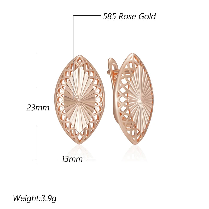 Shiny and Special Original Women Earrings  045