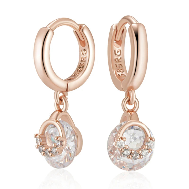Shiny and Special Original Women Earrings  036