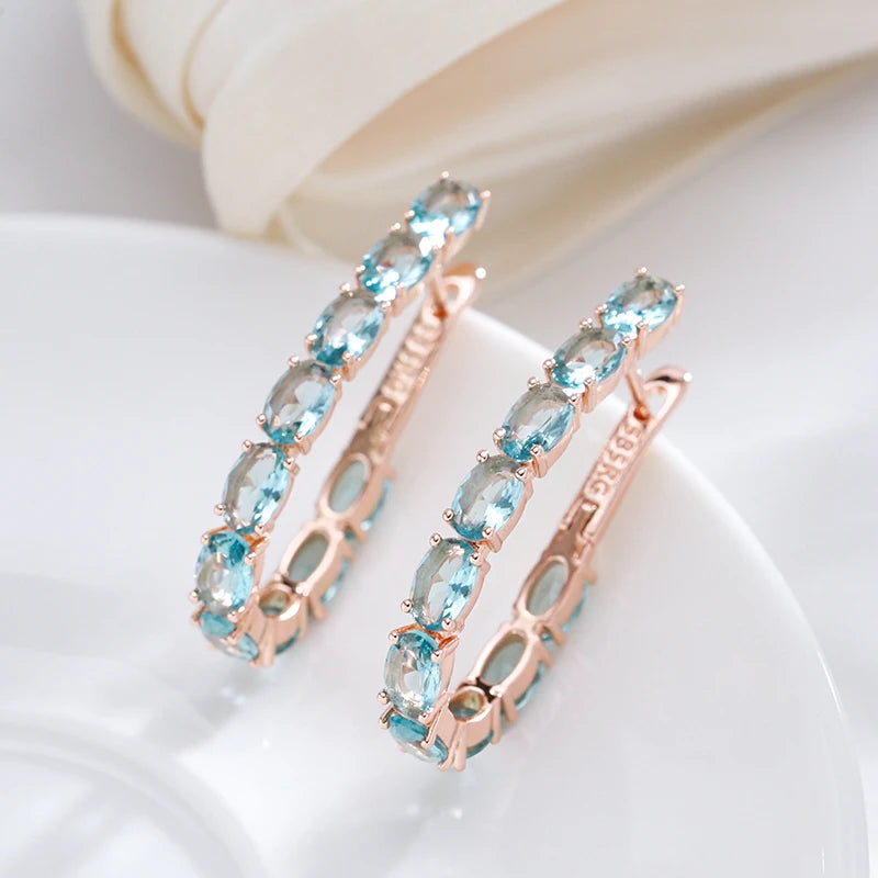 Shiny and Special Original Women Earrings  062