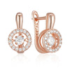 Shiny and Special Original Women Earrings  060
